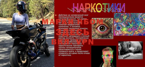 бошки Богданович