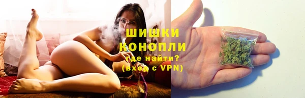 стафф Богородск