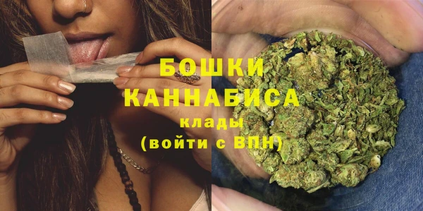 бошки Богданович