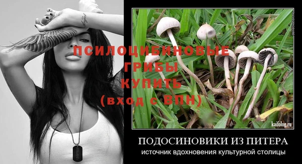 бошки Богданович