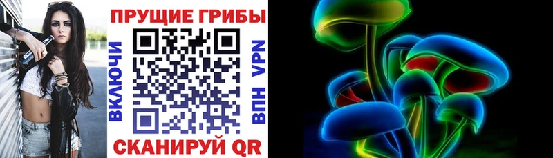хочу наркоту  omg ссылки  Галлюциногенные грибы Magic Shrooms  Конаково 